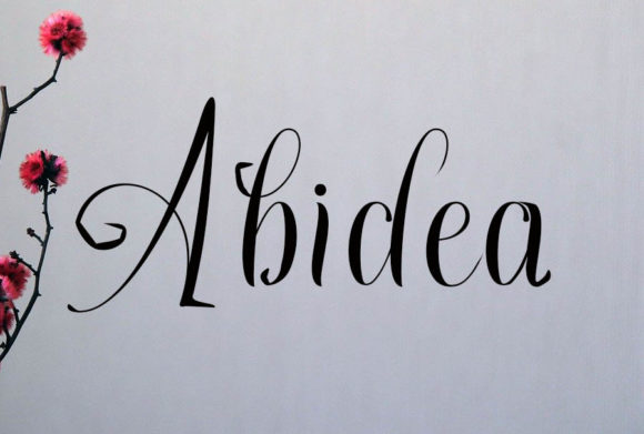 Abidea Font: A Review for Editorial Design