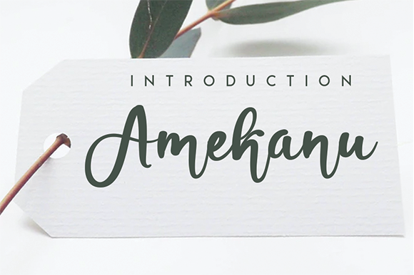 Amekanu: A Handwritten Font for Branding