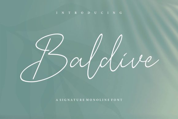 Baldive: A Script Font for Modern Web Design