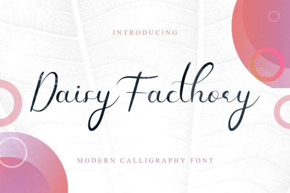 Daisy Facthory: A Timeless Script Font for Branding