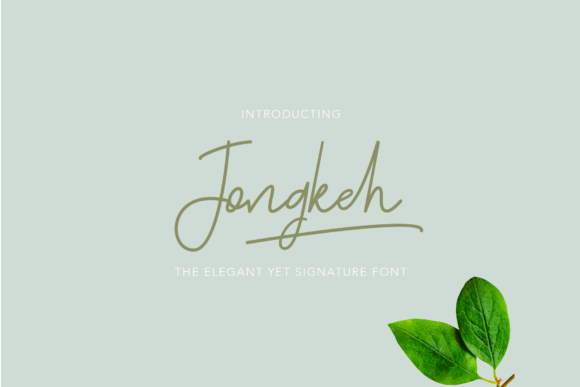 Jongkeh Font: Elevate Your Brand Identity
