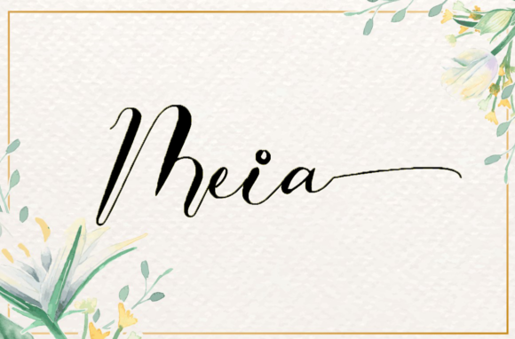 Meia: A Delicate Handwritten Font for Web Design